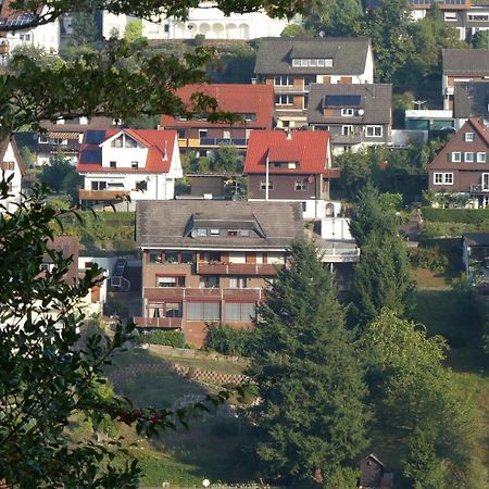 Apartmán Haus Krick Alpirsbach Exteriér fotografie