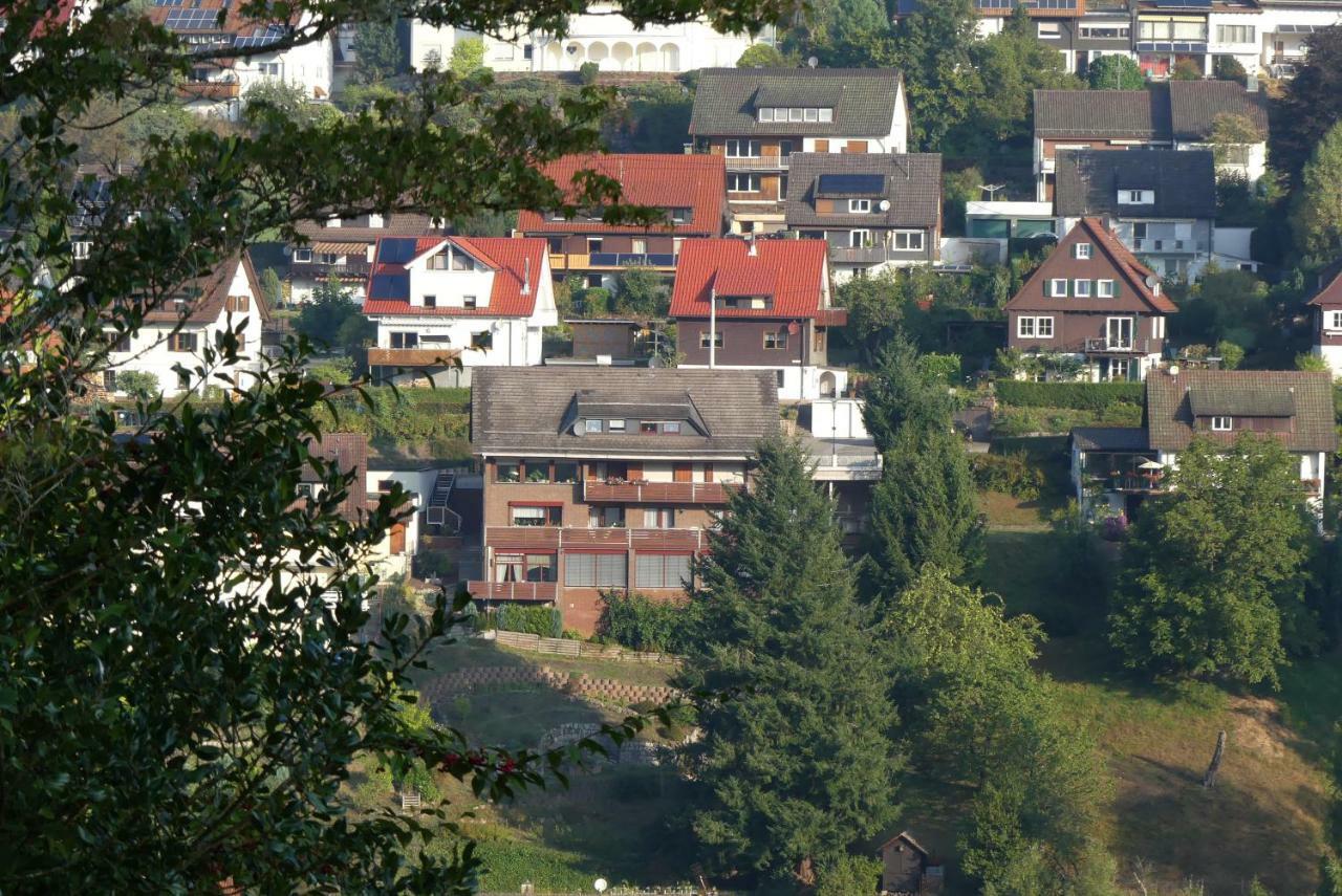 Apartmán Haus Krick Alpirsbach Exteriér fotografie